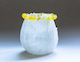 White Poppy – Yellow